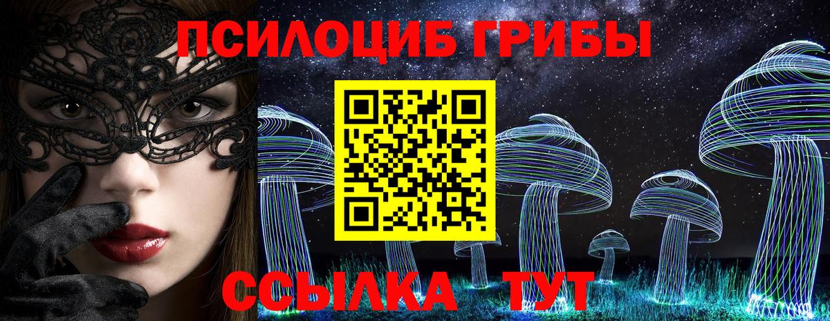 Балашов  Псилоцибиновые грибы Magic Shrooms  Вход с VPN 