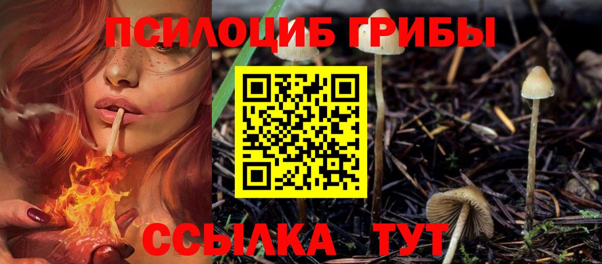 Псилоцибиновые грибы MAGIC MUSHROOMS Балашов